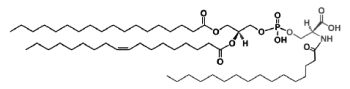 N-Acylphosphatidylserine