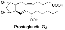 prostaglandin G2