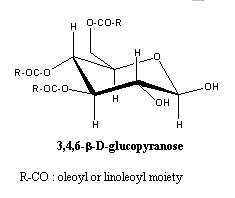 triacyl glucose