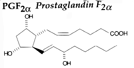 prostaglandin F2a
