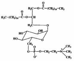 phosphocholine glycoglycerolipid