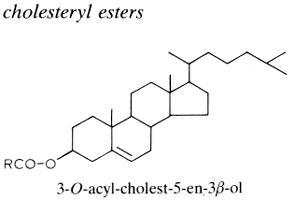 cholesteryl ester