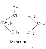 muscone