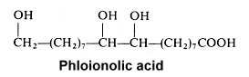 phloionolic acid