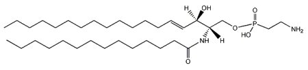 ceramide aminoethylphosphonate