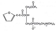 phospatidylcholine furan