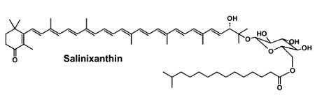 salinixanthin
