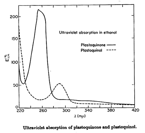 plastoquinone