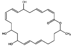 macrolactin