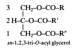 triglycerides