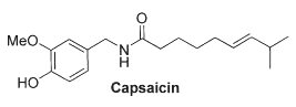 capsaicin