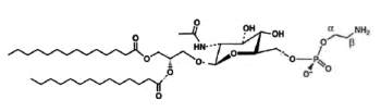 N-Acetylglucosaminyl-phosphoethanolamine diacylglycerol