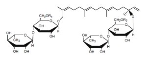 Hydroxygeranyllinallol diterpenoid glycoside