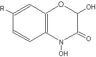 benzoxazinones