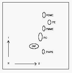 TLC of phospholipids | Cyberlipid