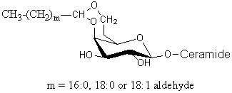 pict176.jpg (9290 octets)