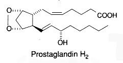 prostaglandin H2