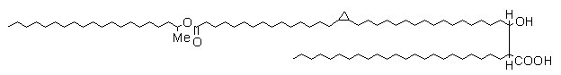 mycolic acid