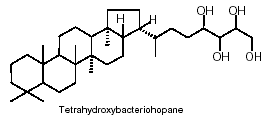 bacteriohopanepolyol
