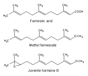Farnesoic Juvenile hormone