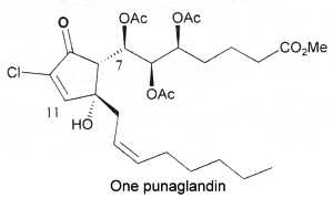punaglandins