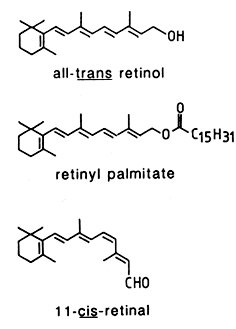 retinol, retinyl, retinal