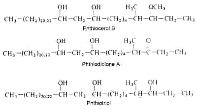 phthiocerol, phthiodiolone, phthiotriol
