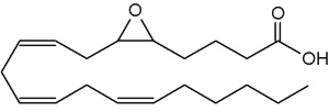 epoxyeicosatrienoic