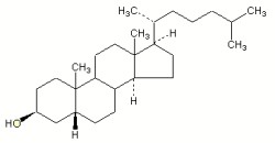 coprostanol