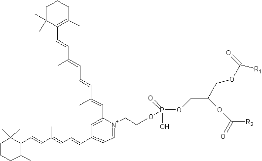 Phosphatidylethanolamine-bisretinoid