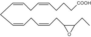 epoxyeicosaquatraenoic